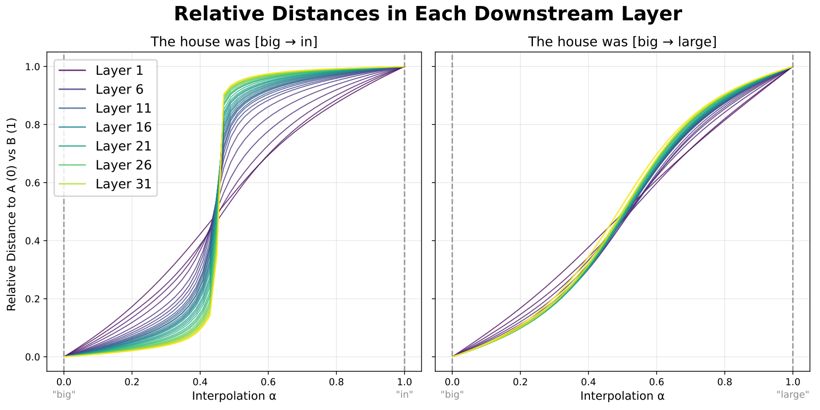 Relative distances in each downstream layer