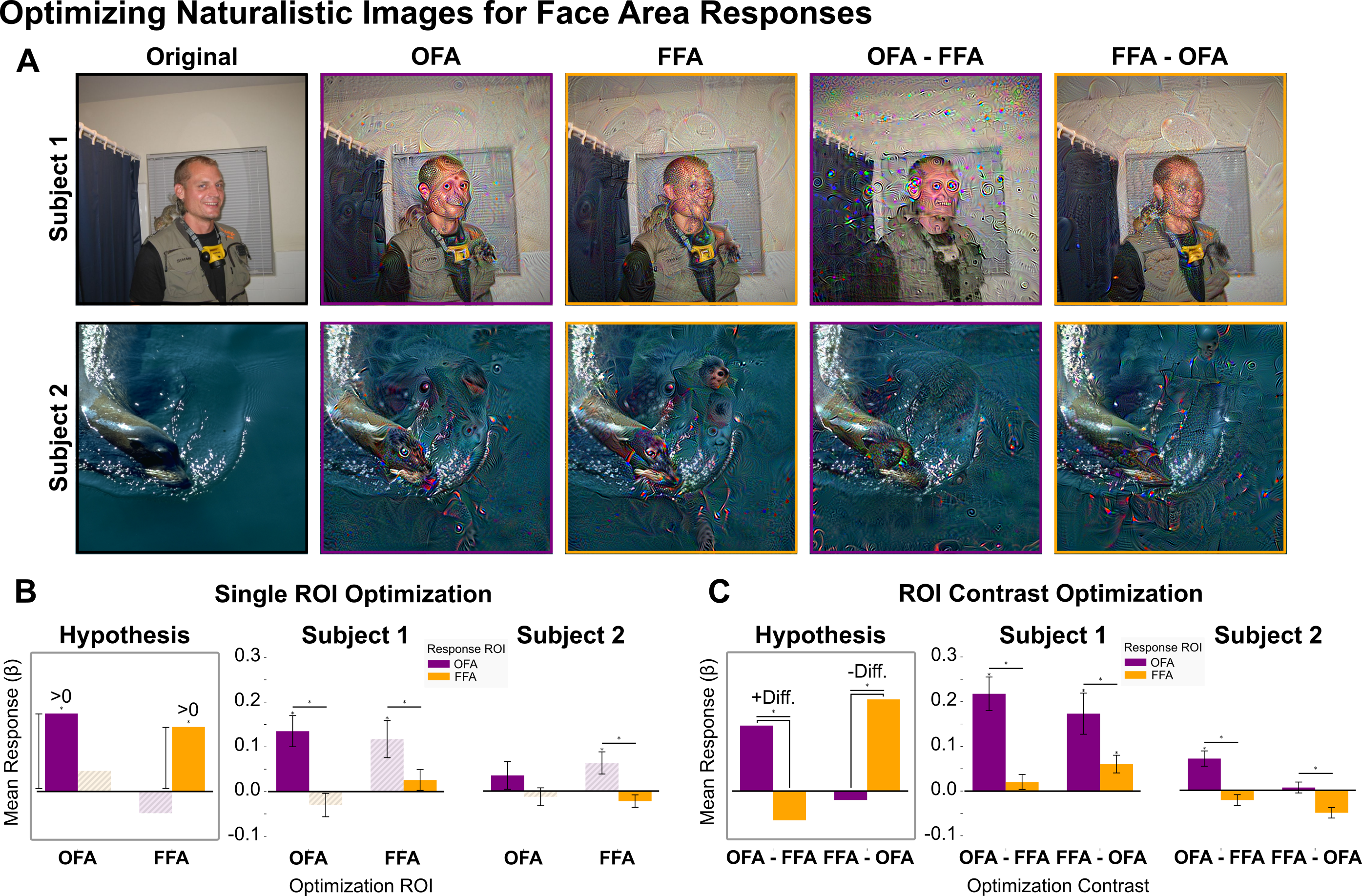 Face region contrast results