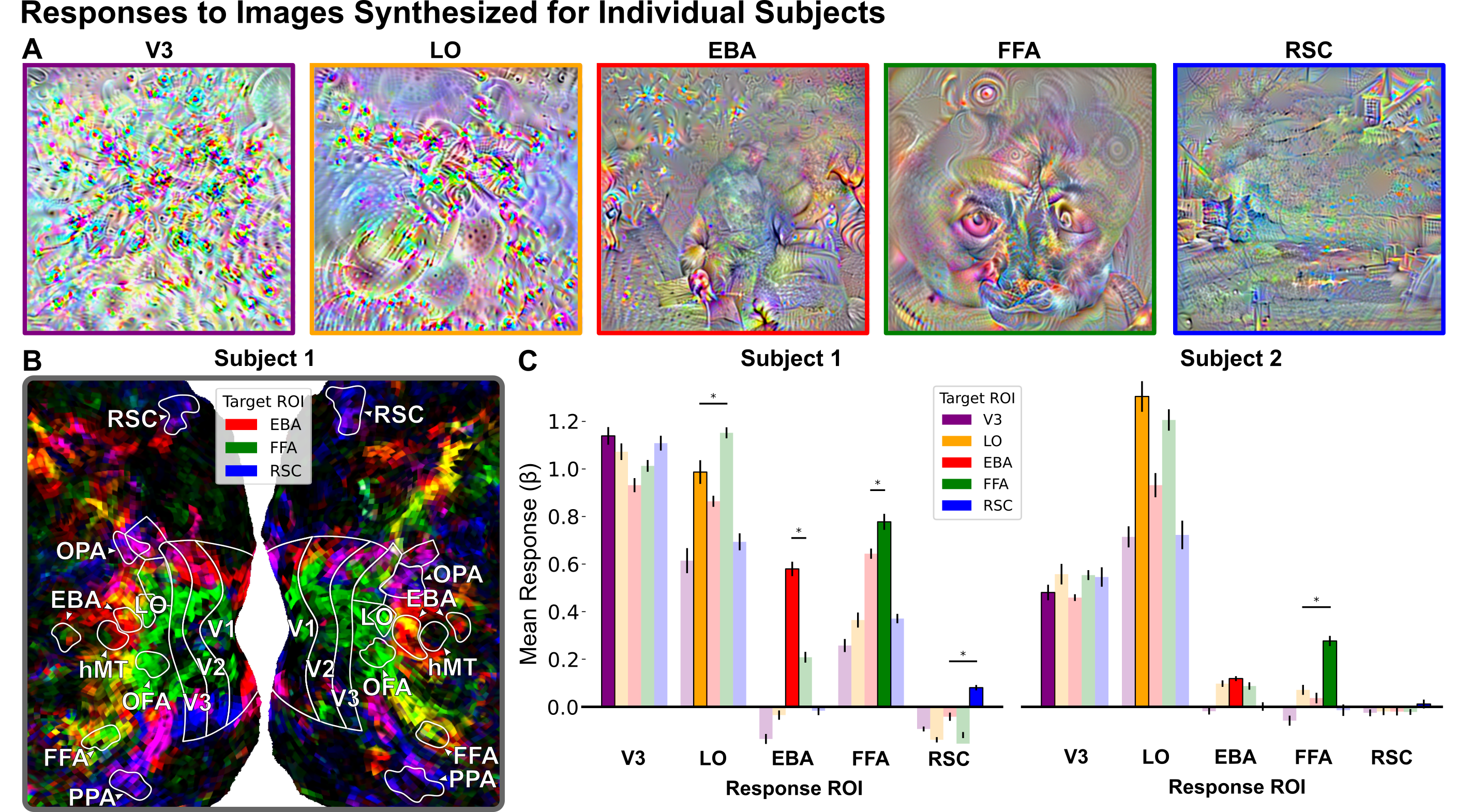 ROI-optimized images and results